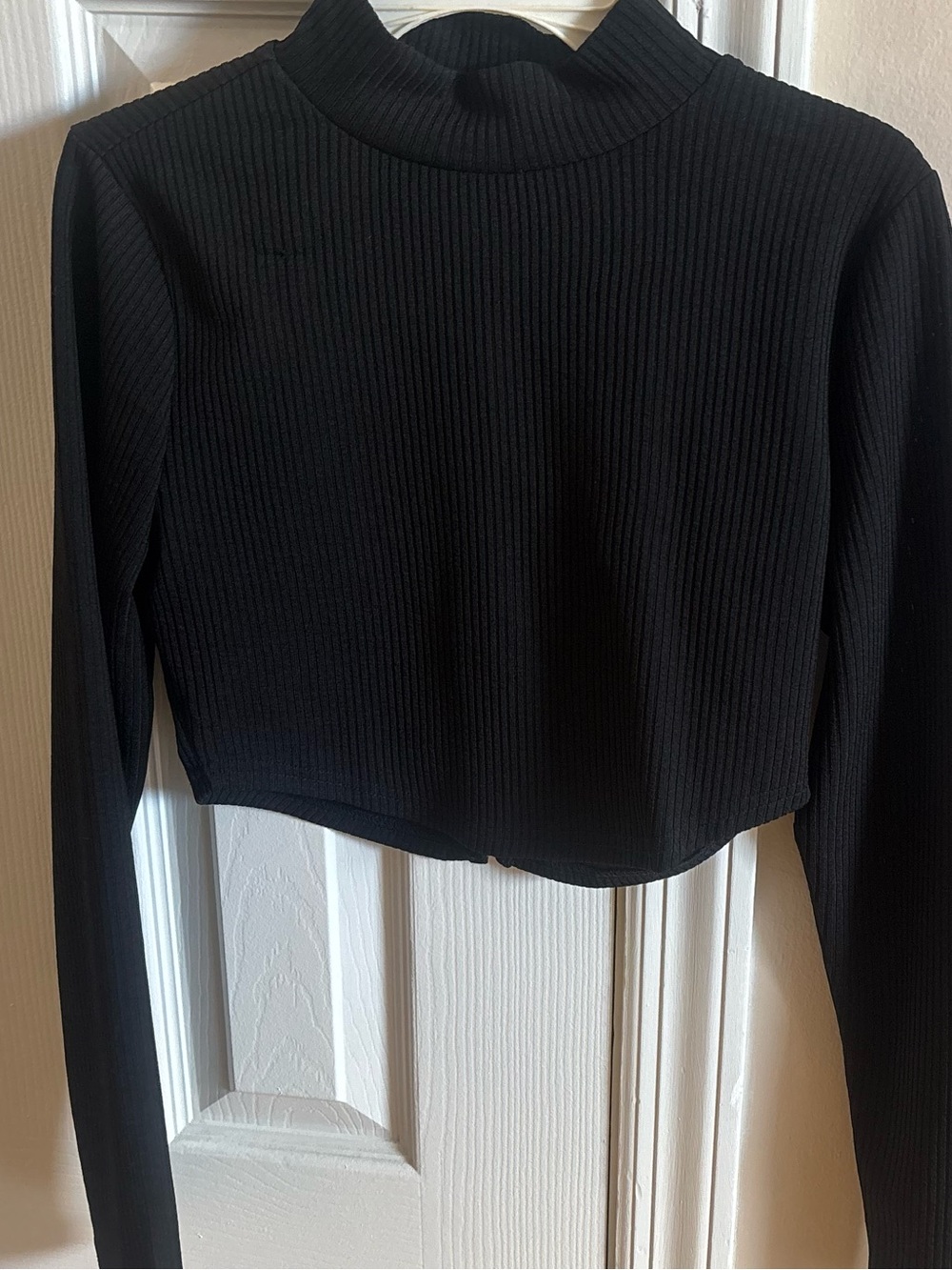 privy Black Ribbed Mock Neck Long Sleeve Crop Top